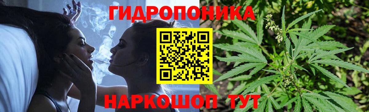 Каннабис Bruce Banner  Бошки Шишки семена  Каннабис MAZAR  Искитим  Вход с VPN  Марихуана индика 